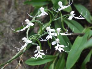 post-6735-0-39067800-1392568039_thumb.jp