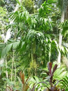 post-6735-0-40327200-1358268271_thumb.jp