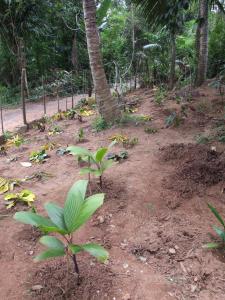 post-6735-0-45201300-1378531249_thumb.jp