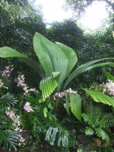 post-6735-0-47116600-1373559631_thumb.jp