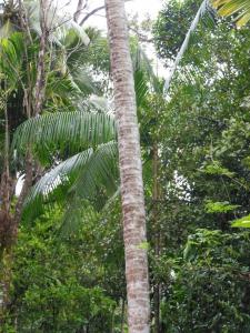 post-6735-0-48707100-1358979064_thumb.jp