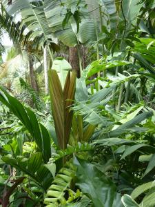 post-6735-0-52728700-1401906979_thumb.jp