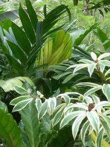 post-6735-0-53132100-1401906965_thumb.jp