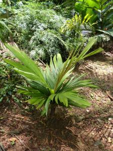 post-6735-0-54319100-1433788381_thumb.jp