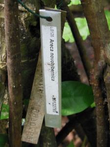 post-6735-0-55685000-1400517238_thumb.jp