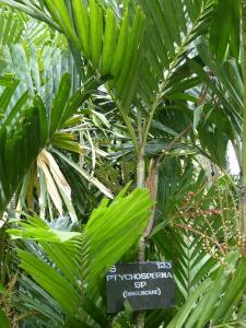 post-6735-0-58529600-1378321877_thumb.jp