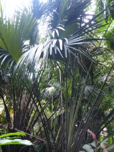 post-6735-0-59313900-1421775025_thumb.jp