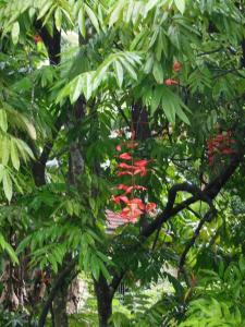 post-6735-0-62705400-1358979202_thumb.jp