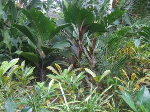 post-6735-0-64864100-1378531261_thumb.jp