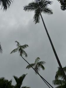 post-6735-0-66455200-1378323082_thumb.jp