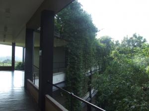 post-6735-0-69660200-1353351492_thumb.jp