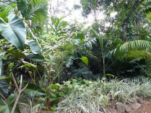 post-6735-0-70735900-1423163678_thumb.jp