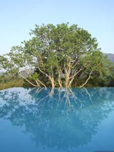 post-6735-0-71856100-1353351412_thumb.jp