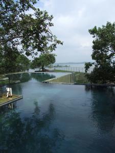 post-6735-0-71950800-1353351700_thumb.jp