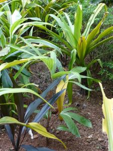 post-6735-0-72262300-1410106956_thumb.jp