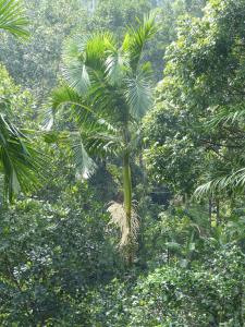 post-6735-0-72439600-1388663658_thumb.jp