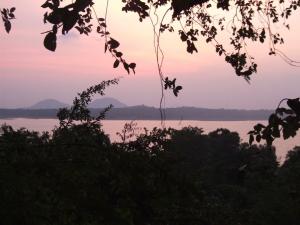 post-6735-0-73859600-1353351480_thumb.jp