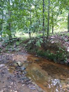 post-6735-0-74921900-1408466165_thumb.jp