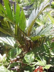 post-6735-0-76337000-1379959901_thumb.jp