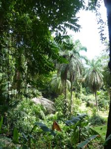 post-6735-0-76742200-1421775067_thumb.jp