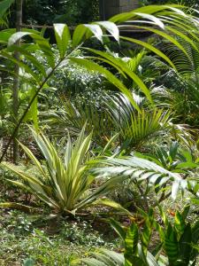 post-6735-0-76880900-1391370142_thumb.jp