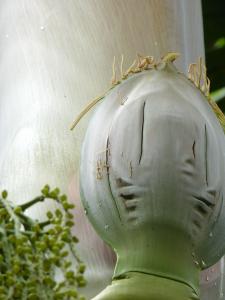 post-6735-0-82682900-1421347015_thumb.jp