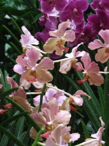 post-6735-0-87528800-1373559823_thumb.jp