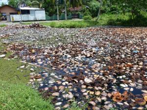 post-6735-0-88225500-1384283168_thumb.jp