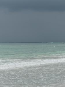 post-6735-0-92379700-1421693225_thumb.jp