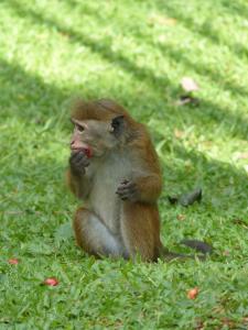 post-6735-0-92539100-1394474827_thumb.jp