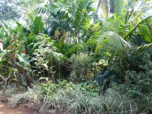 post-6735-0-95226800-1423163704_thumb.jp