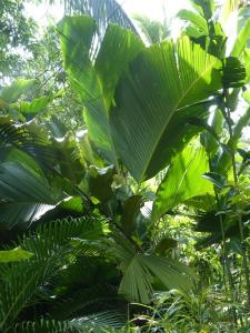 post-6735-0-99464300-1378531440_thumb.jp