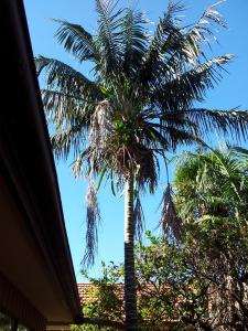 post-6739-069013900 1335793399_thumb.jpg