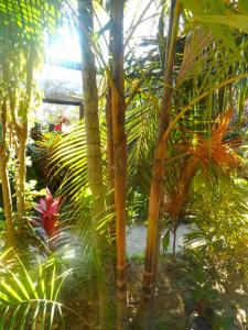 post-6784-0-46170800-1377090556_thumb.jp