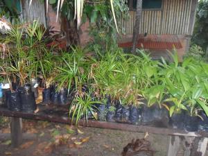 post-6784-0-81028000-1377261449_thumb.jp