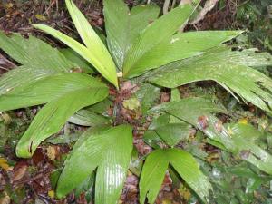 post-6784-0-83282800-1380251363_thumb.jp