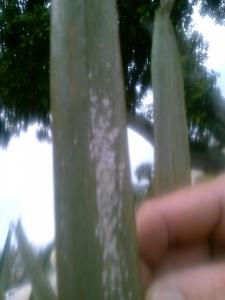 post-6963-0-56824200-1391287893_thumb.jp