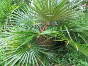 post-6963-0-83948200-1350648633_thumb.jp