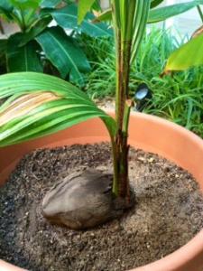 post-6970-0-79014000-1347332264_thumb.jp