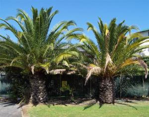 post-700-033217200 1332323563_thumb.jpg