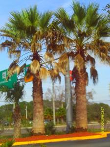 post-7094-0-23833400-1420940224_thumb.jp