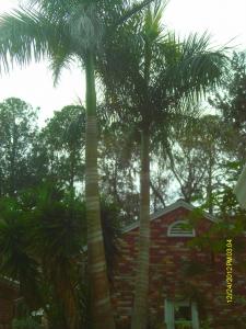 post-7094-0-64858200-1440217584_thumb.jp