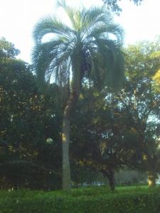 post-7094-0-81608000-1418089964_thumb.jp