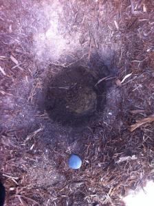 post-7125-0-47643400-1389323074_thumb.jp