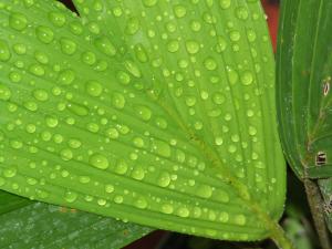 post-727-033342200 1317742665_thumb.jpg