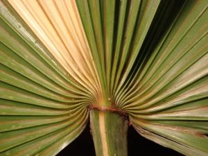 post-727-064985000 1317742604_thumb.jpg