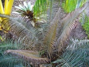 post-7367-0-39509000-1434064429_thumb.jp