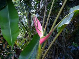 post-7367-0-79264900-1437416476_thumb.jp