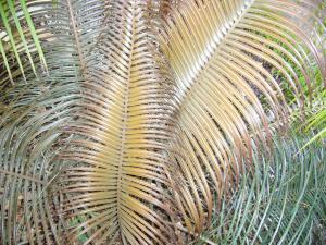 post-7367-0-97853400-1434064443_thumb.jp