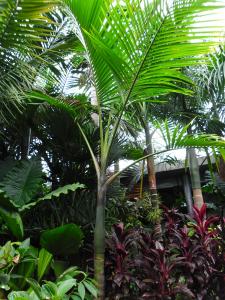 post-7381-0-01623700-1396857512_thumb.jp